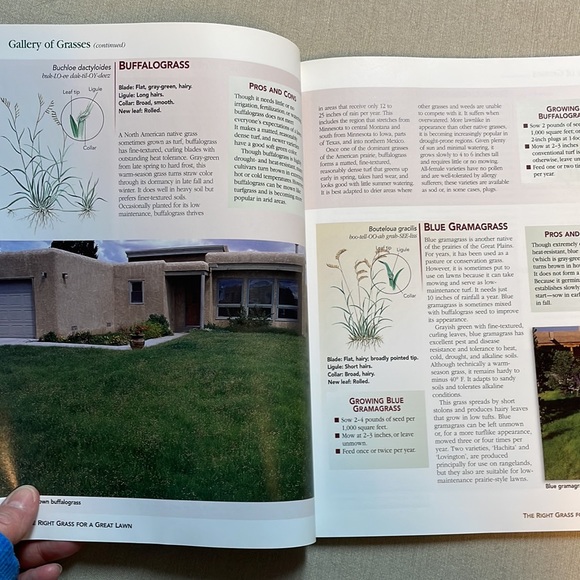 🌈2/$8 Orthos: All About Lawns - Picture 11 of 12